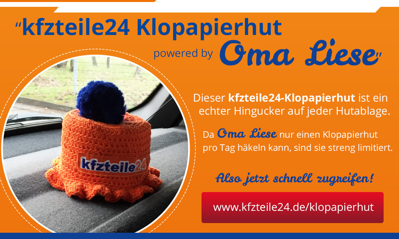 Aprilaktion 2015 ? Der Klopapierhut, Seitenansicht