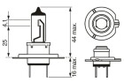 BOSCH H7 Trucklight Maxlife 70 W (1 Stück), Art.-Nr. 1 987 302 772