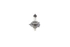 BOSCH H4 Trucklight Maxlife 75/70 W (1 Stück), Art.-Nr. 1 987 302 742